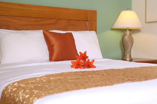 Hotel Punto di Oro Residences (Ponton)